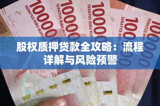 北京股权质押贷款全攻略：流程详解与风险预警