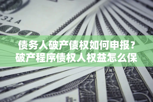 北京债务人破产债权如何申报？破产程序债权人权益怎么保障？