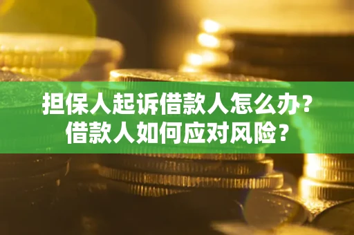 北京担保人起诉借款人怎么办？借款人如何应对风险？