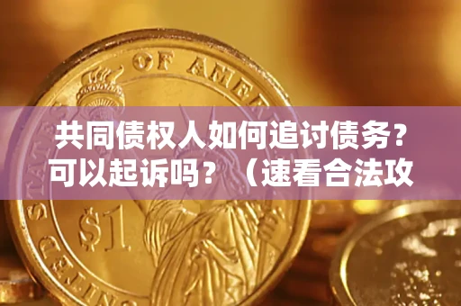 北京共同债权人如何追讨债务？可以起诉吗？（速看合法攻略）